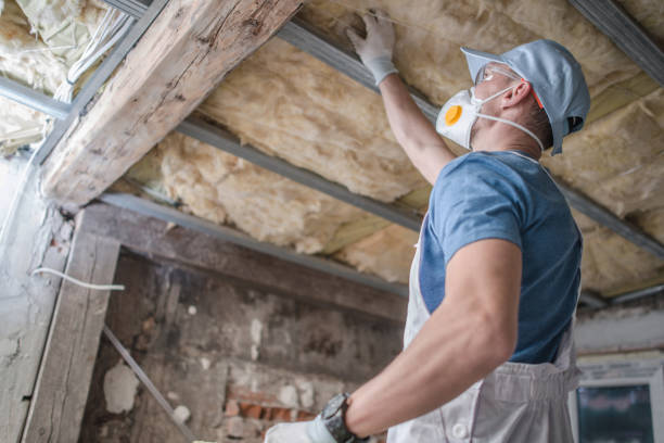 Best Residential Insulation in Monroe, LA