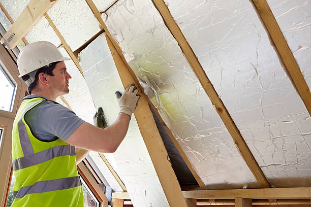 Best Insulation Installation Services in Monroe, LA